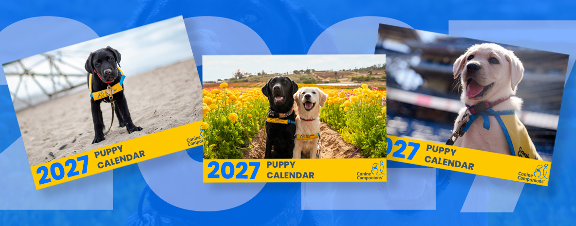 2027 Canine Companions Puppy Calendar